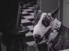 Frankenweenie Movie - The 80s Movies Rewind
