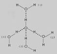 Hydrogen Bonds