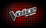 Here's something the winners of The Voice have in common: they can ...