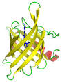 http://wpcontent.answcdn.com/wikipedia/commons/thumb/c/c5/Rbp_1brp.png/250px-Rbp_1brp.png
