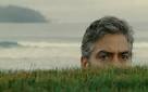 The Descendants: Our Reactions