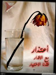 ������ ���� ������ �� ���� ������