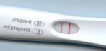 o-PREGNANCY-TEST-TESTICULAR-.