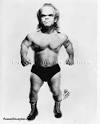 Do midgets require only 4 hours of sleep at night? - Bodybuilding ...