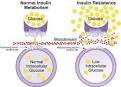Exercise as it relates to Disease/Resistance Training and Insulin ...