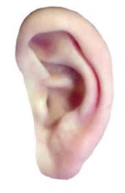 Eavesdropping Device