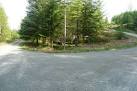 Within the extensive Grizedale Forest there is a huge network of forest - via Daymix