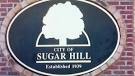 Dating website offers millions to rename city - CBS Atlanta 46