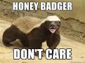Honey Badger