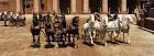 Chariot_Race_Ben-Hur.png
