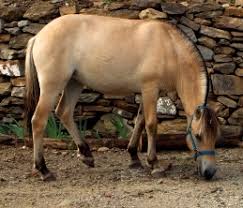 images?q=tbn:ANd9GcSWJpCAzzaaf0_tglrYTJc27ZWTMlq94bwWElgkJAH5FtNJxOTFww