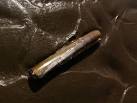 Razor shell - via Daymix