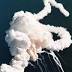 Space Shuttle Challenger disaster