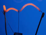 Файл:Electric bulb filament.jpg — Википедия
