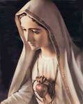 Litany of Our Lady of Fatima - images?q=tbn:ANd9GcSWVTLdxIQF20gePFj8K7QzesiMFkWJhXPlt7clrYyKY8EbTL3ImeNmYNw