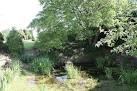 Deep wetland area, Little - via Daymix