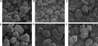 Evidence of native starch degradation with human small intestinal ...
