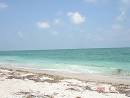 Panoramio - Photo of CAYO COSTA STATE PARK BEACH