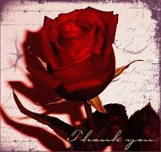 ������ ���� ������ �� ���� ������