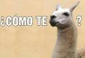 Como te llama? - Random Photo (19788400) - Fanpop