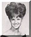 Barb Cooley Callahan
