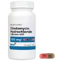 Clindamycin: Oral Antibiotic For Dogs &amp; Cats - 1800PetMeds