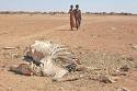 Drought Around The World: Atlanta In Perspective : TreeHugger