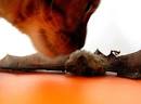 Natural Unseen Hazards Blog | Just another WordPress.com weblog ...