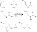 Organic Syntheses Prep