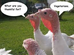 7 Tips to Eating Vegan at Family Holiday Gatherings