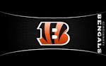 bengals_19201.jpg