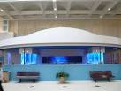 unusual fishtank designs