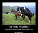 picture of Ver como tus amigos - desmotivaciones  images wallpaper