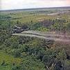 Dictionary - Definition of defoliant