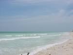 File:Honeymoon Island State Park (Image 1).jpg - Wikipedia, the ...