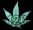 420weed Where does 420 come