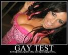 Gay Test