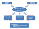 Institutionalization of Information Management into a Corporate ...
