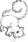 Squirrel coloring page