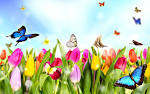 Interpretation of a dream in which you saw ��Spring��