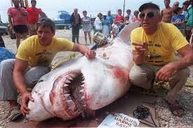 http://t3.gstatic.com/images?q=tbn:ANd9GcSZWR0bzikl2QjjZySTVK1B9jhM6SWSlRY6u2iaSPr5Lco-yWY&t=1&usg=__lD9pfQvMGrkK_Vny6LQsauceP-E=