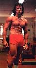 Sylvester Stallone Image Sylvester Stallone Biography News Movie DVD Video Wallpaper Picture Picture 5