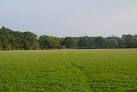 Hell Coppice and crosses a clover field towards a prominent oak tree. - via Daymix