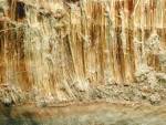 Chrysotile (<b>Asbestos</b>) in its