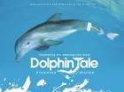Dolphin Tale