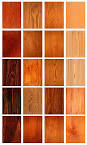 Backgrounds Vectorillacom   Vector Images
