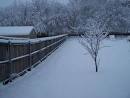 DFW weather records,