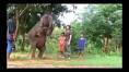 Page 1 of comments on khom.bru.ac.th ช ช้างน่ารัก1 - YouTube