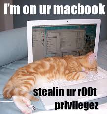 images?q=tbn:ANd9GcS_Cnte5jEUKtd_u7EHTanQOX1ZyMjh315IsrLxZtn9eVp1LuzbfA