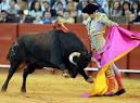 View Bull Fighting in Spain - Hello Travel